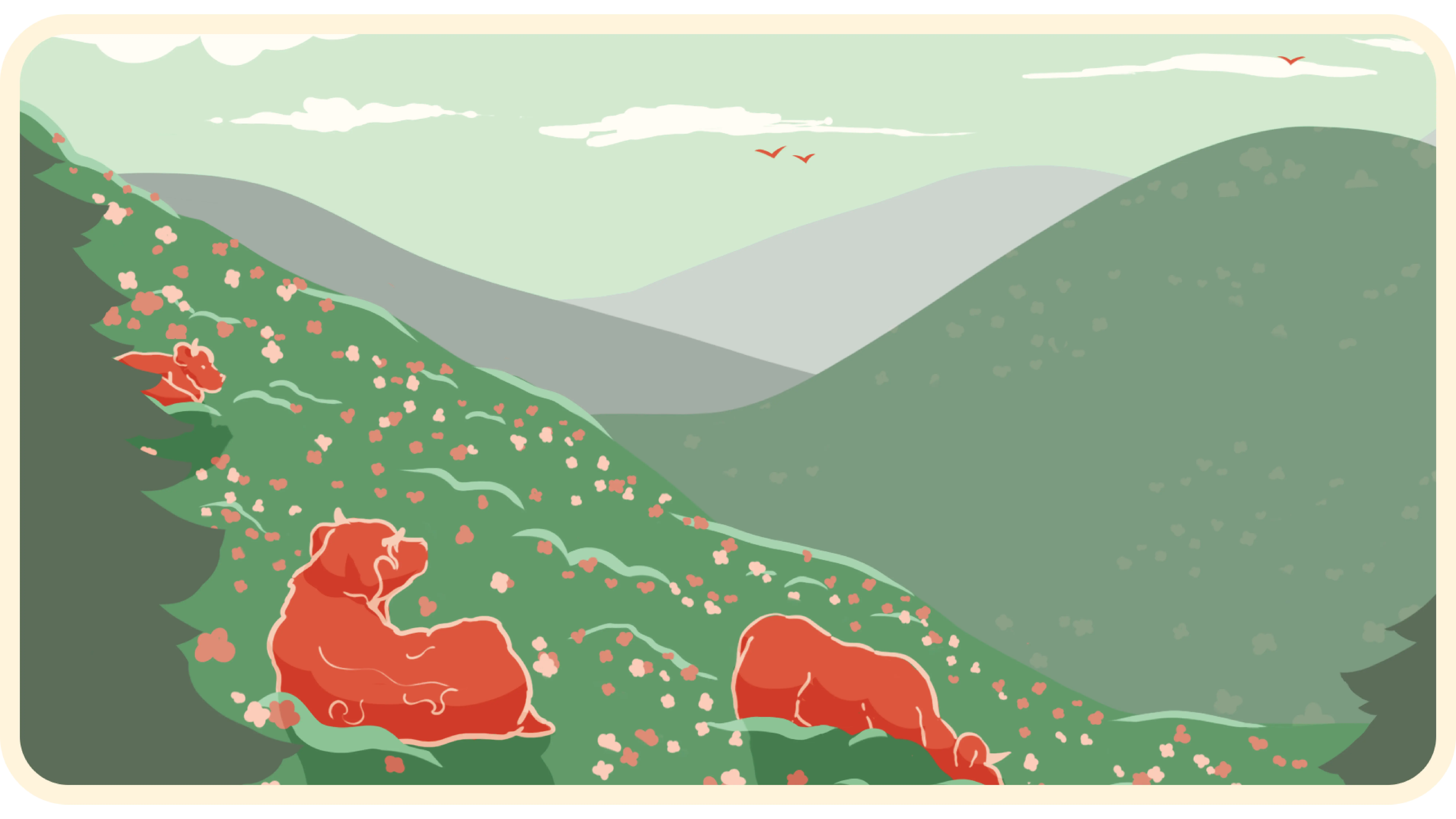 Full-width Image 3
